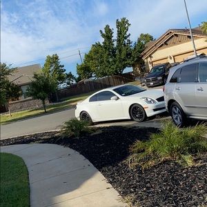 Meet your Posher, Julian